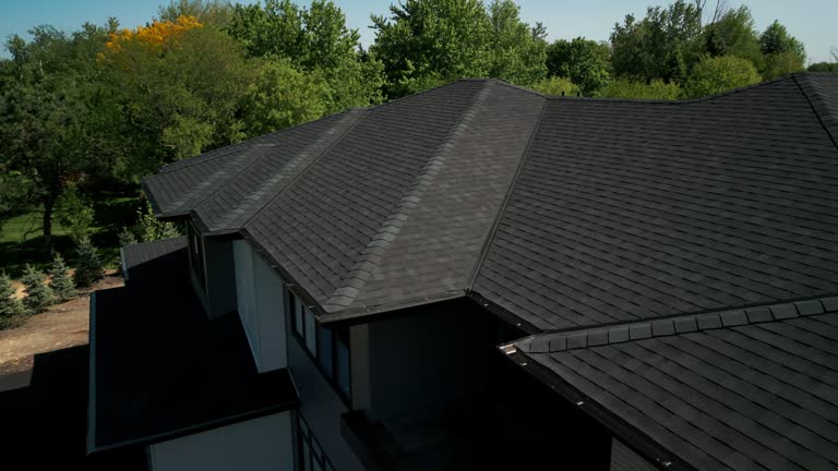 Fast & Reliable Emergency Roof Repairs in Palmer, TX